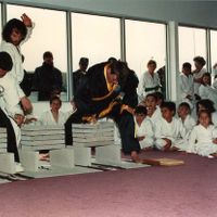 HAPKIDO - URBAN BRUCHTEST