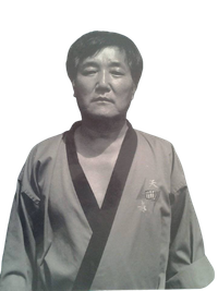 Great Grand Master Han-Young Choi