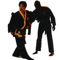 Hapkido_han_yung_choi